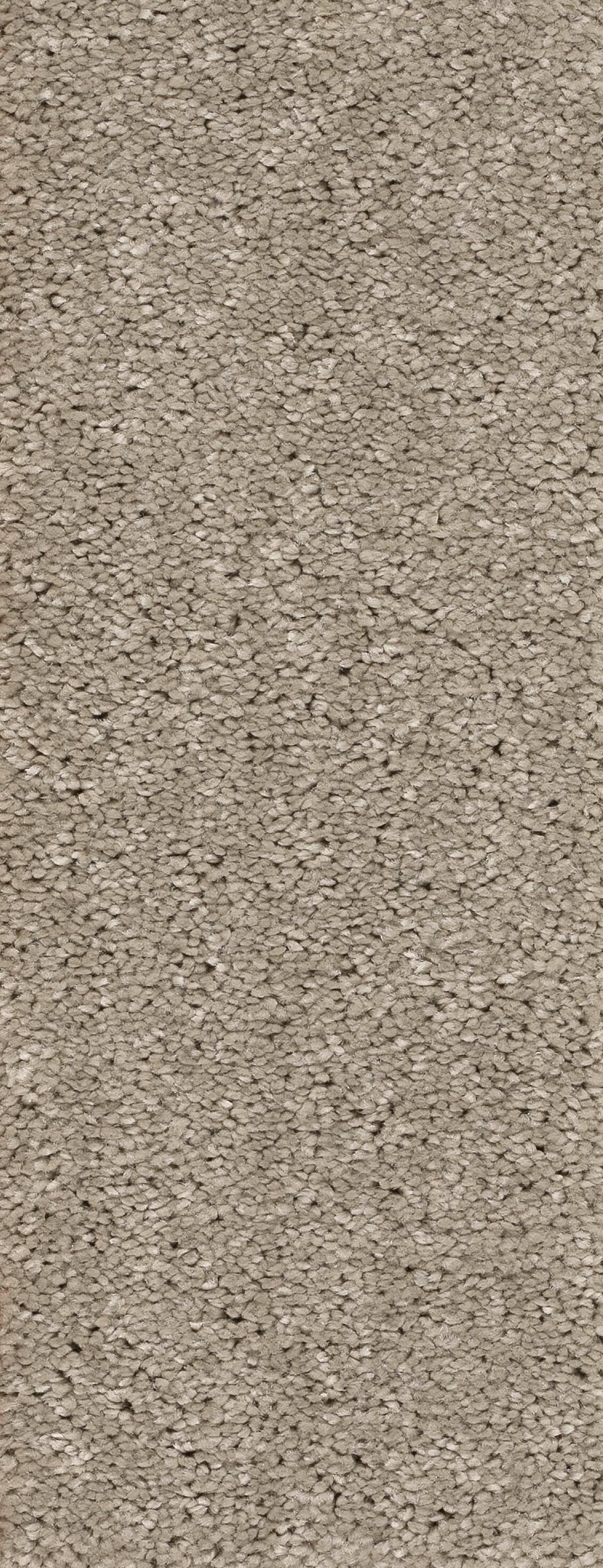 Afbeelding van Trend 026 Tapijt MONTEGO 400 cm Kleur 74 x 400,0