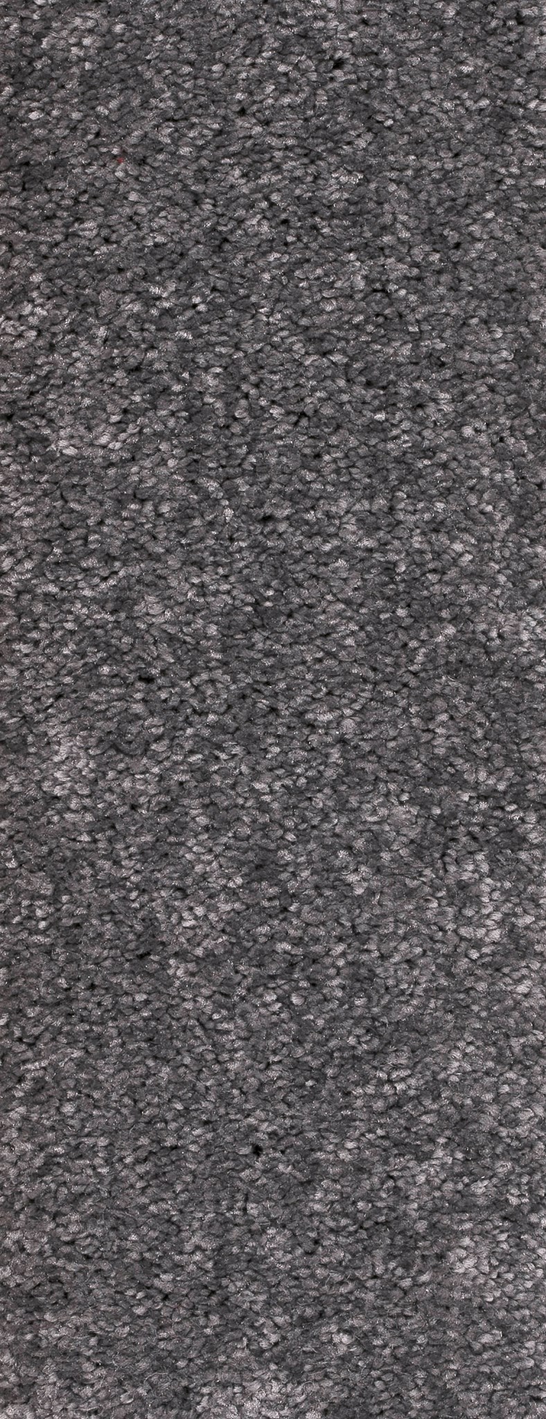 Afbeelding van Trend 026 Tapijt MONTEGO 400 cm Kleur 75 x 400,0