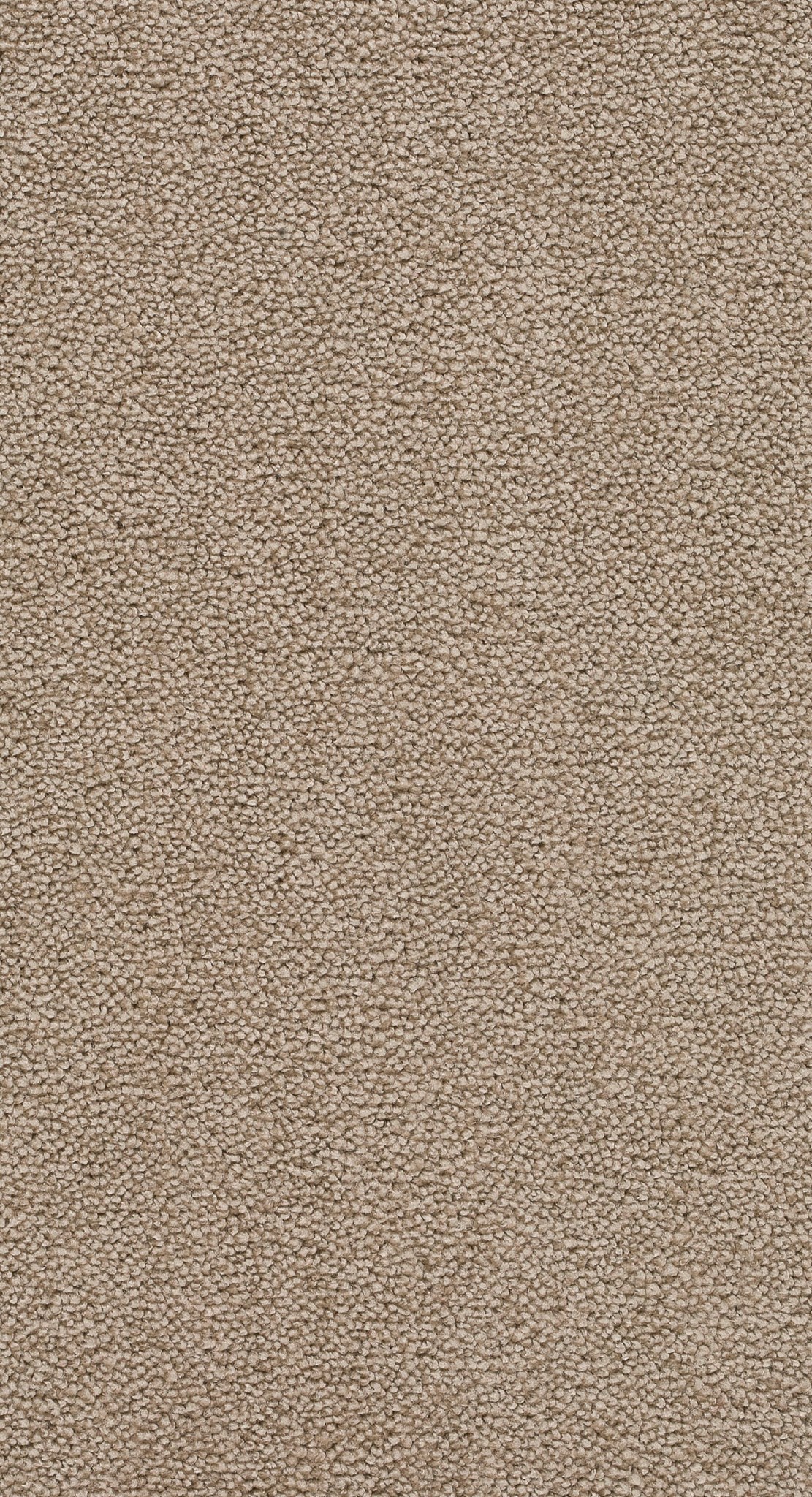 Afbeelding van Trend 026 Tapijt NOBEL 400 cm Kleur 72 x 400,0