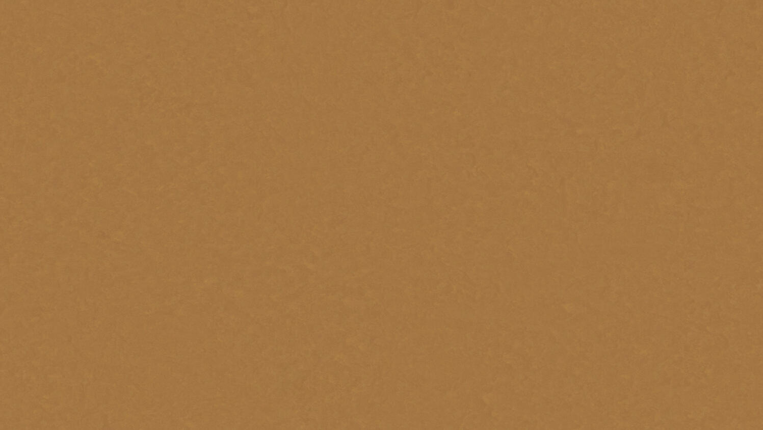 Afbeelding van Vinyl vloer LINOSOM 2,5mm 3101 200cm