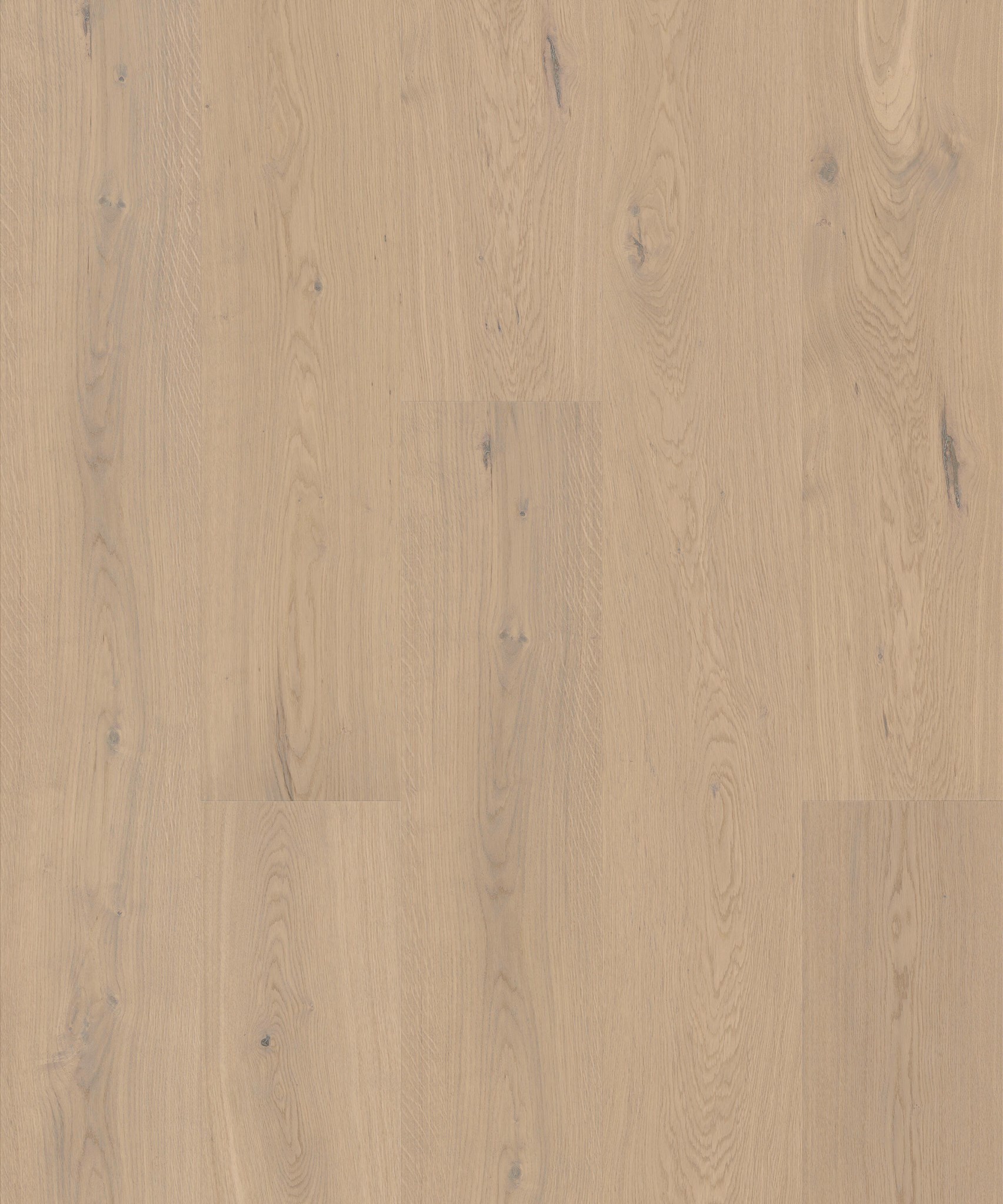Afbeelding van JOKA ATIVO 500 XXL X3 AE665 Oak Spring Snow 4V Mat Lak 2200x283x11mm Pak à 2,49m²
