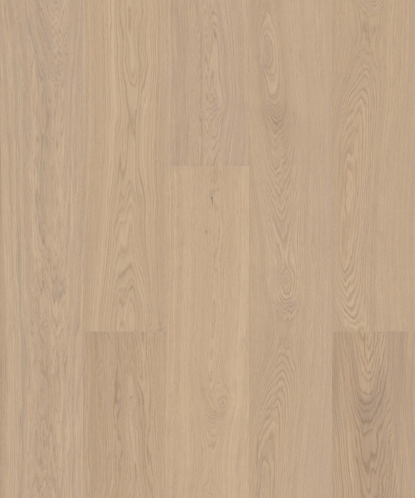 Afbeelding van JOKA ATIVO 500 XXL X3 AE165 Oak Balmy White 4V Mat Lak 2200x283x11mm Pak à 2,49m²
