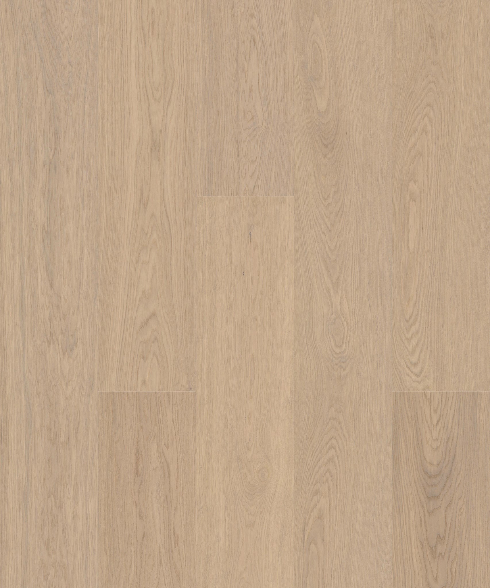 Afbeelding van JOKA ATIVO 283 XXL X3 AE165 Oak Balmy White 4V Mat Lak 2200x283x11mm Pak à 2,49m²