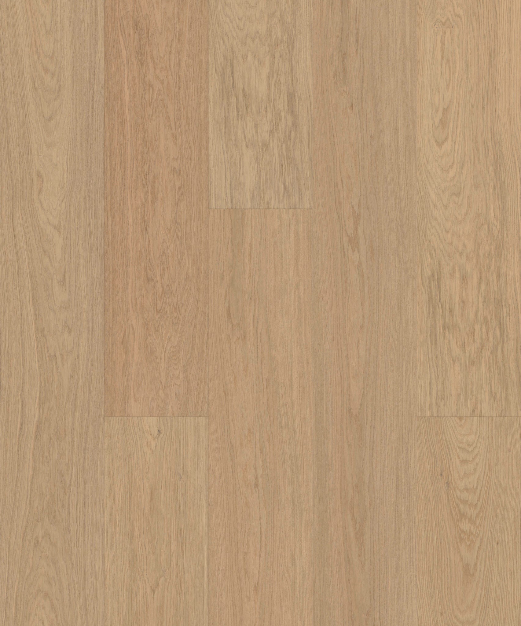 Afbeelding van JOKA ATIVO 500 XXL X3 AE164 Oak Warm Cream 4V Mat Lak 2200x283x11mm Pak à 2,49m²