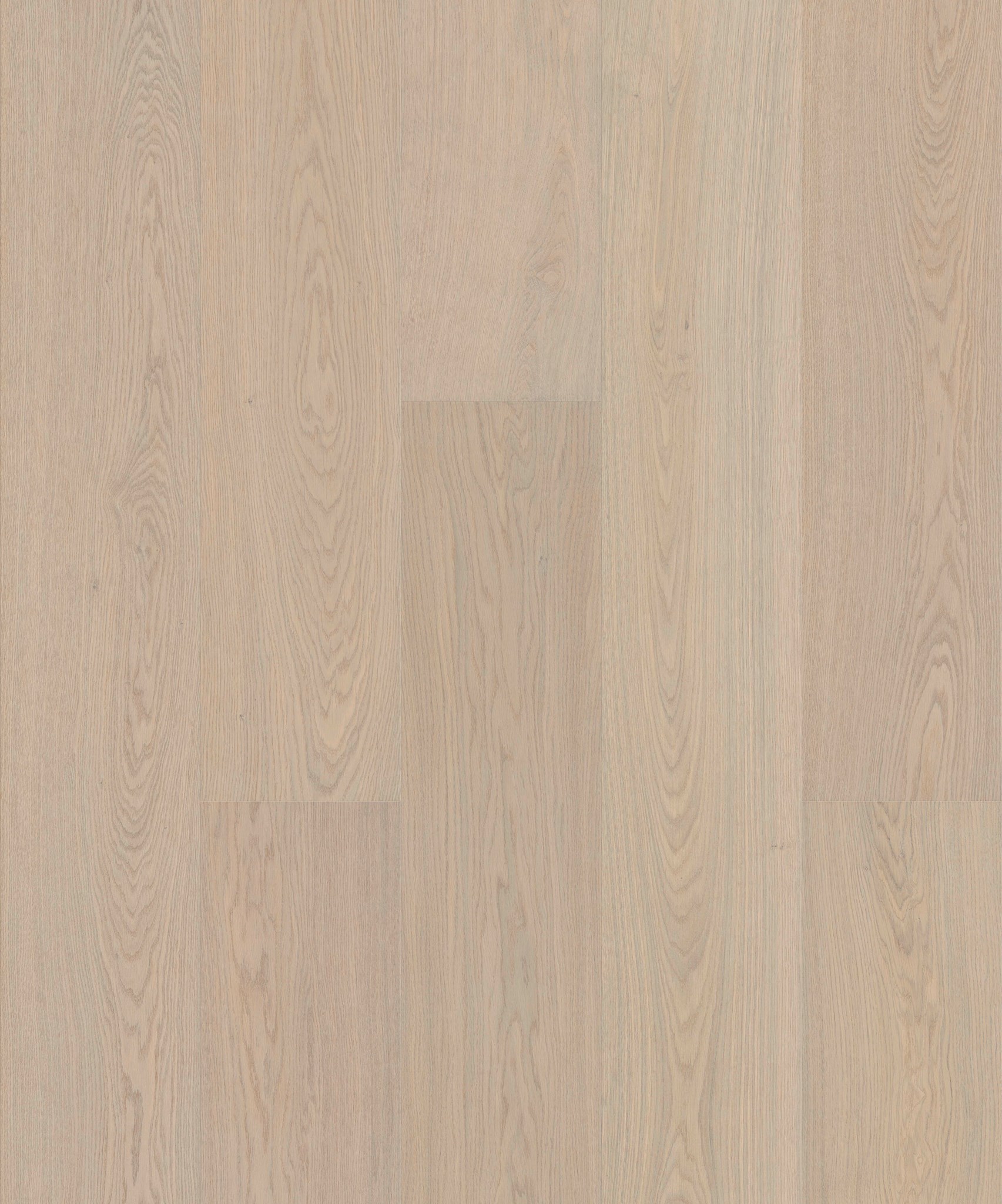 Afbeelding van JOKA ATIVO 500 XXL X3 AE162 Oak Virgin White Mat Lak 4V 2200x283x11mm Pak à 2,49m²