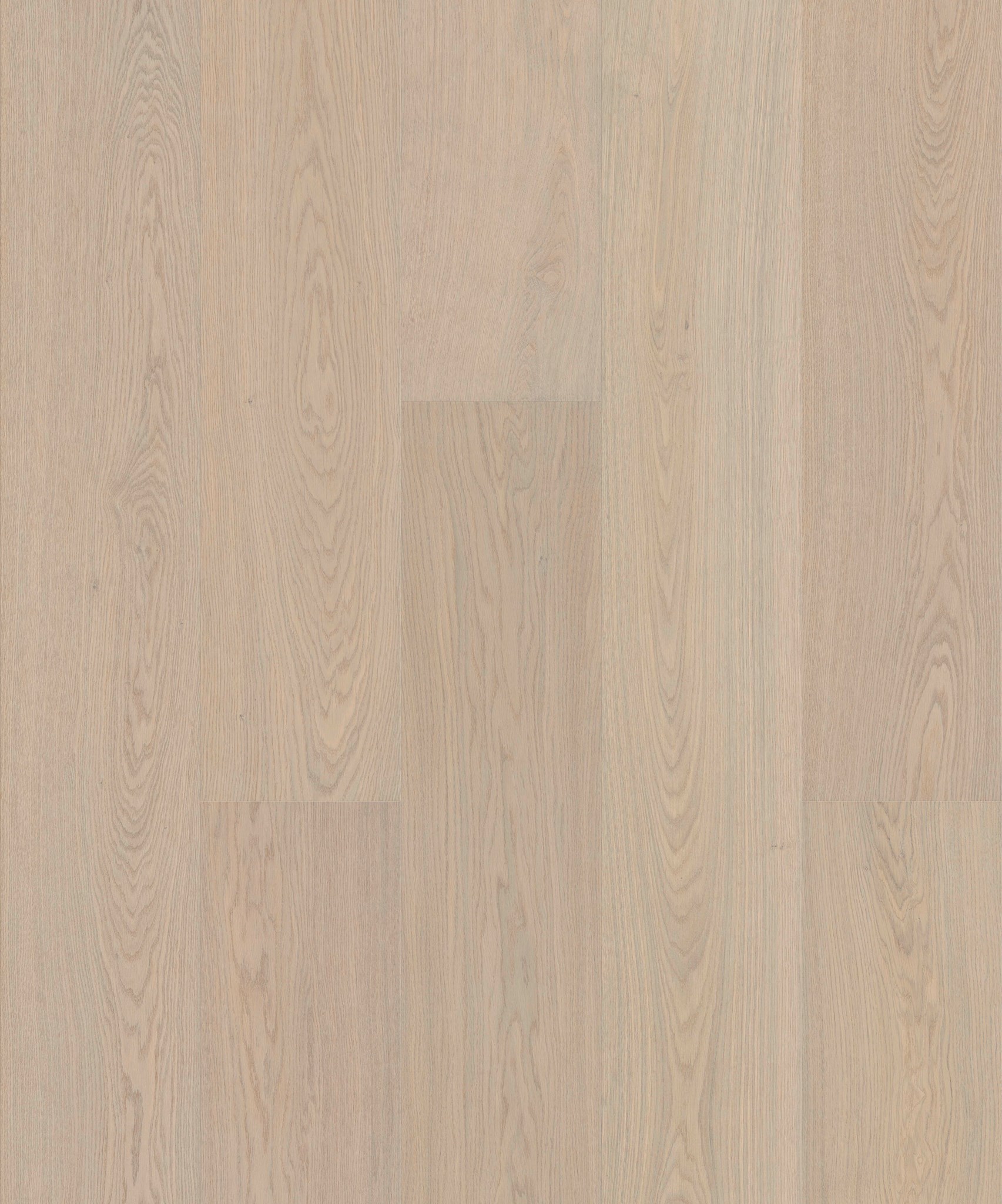 Afbeelding van JOKA ATIVO 283 XXL X3 AE162 Oak Virgin White Mat Lak 4V 2200x283x11mm Pak à 2,49m²