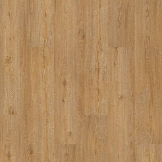 Afbeelding van LVT Homeline 55 DB 2,5mm/NS 0,55mm 55-19 Feldeiche Natur 22,86x121,92 | Pak à 3,34m²