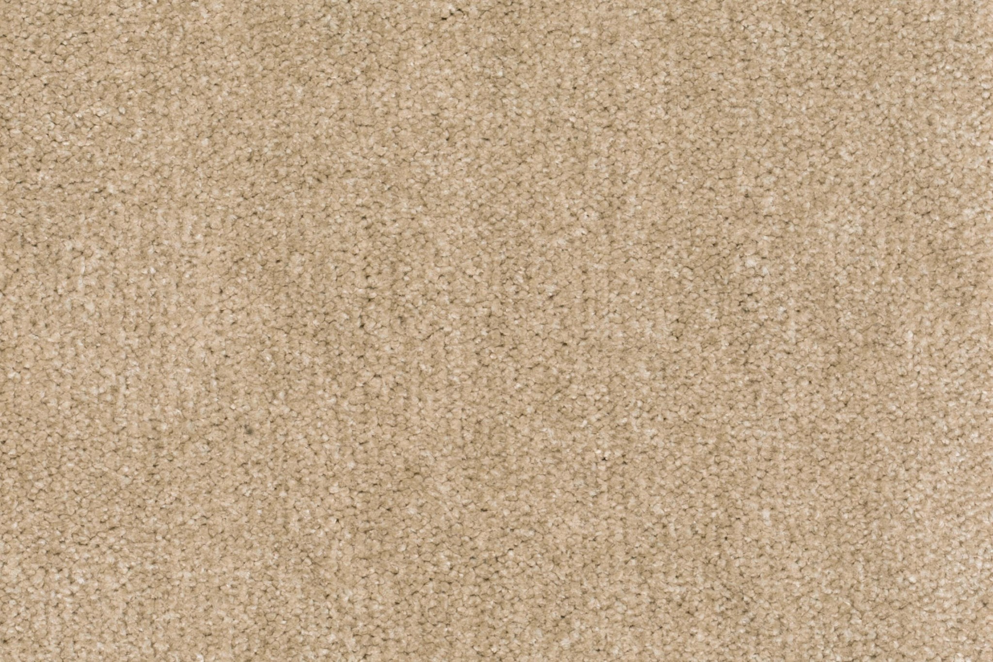 Afbeelding van Sprint 027 Tapijt Doria 400cm Kleur 033 x 400