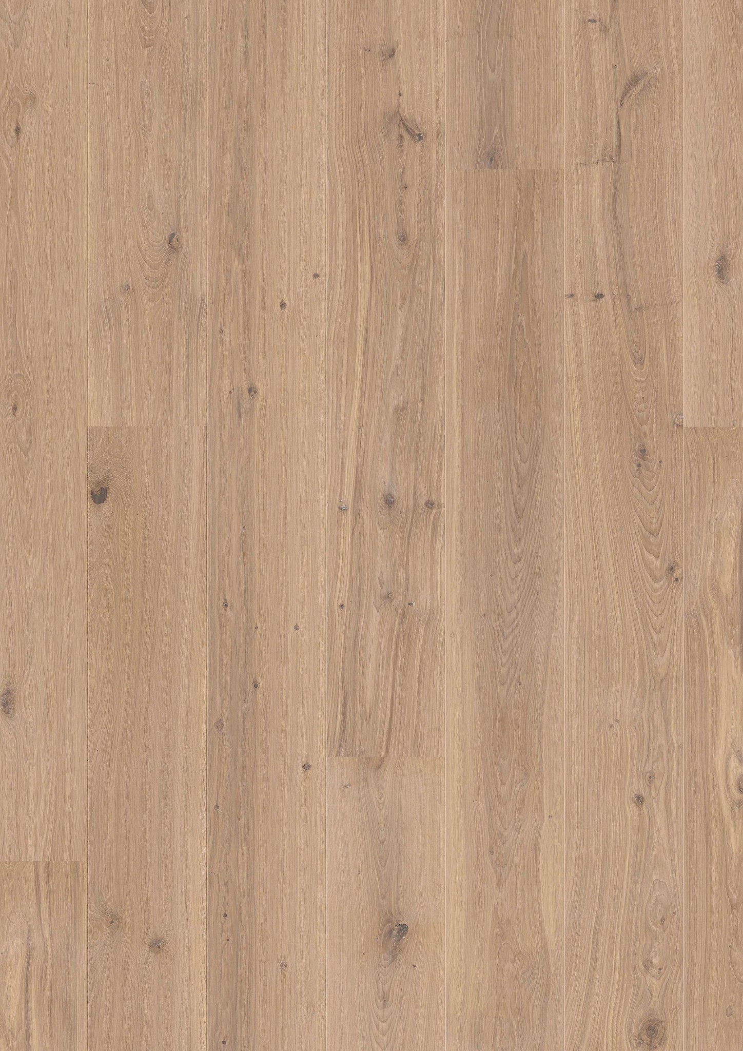 Afbeelding van JOKA CALGARY 527 LD E3614 NATURE Eik Creme geb. Olie V2 2200x181x13,2mm 3,19m²