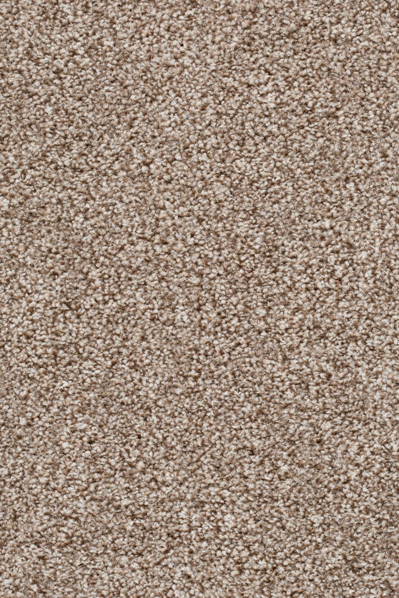 Afbeelding van Homeline 27 Tapijt Pilar 500cm Kleur 90