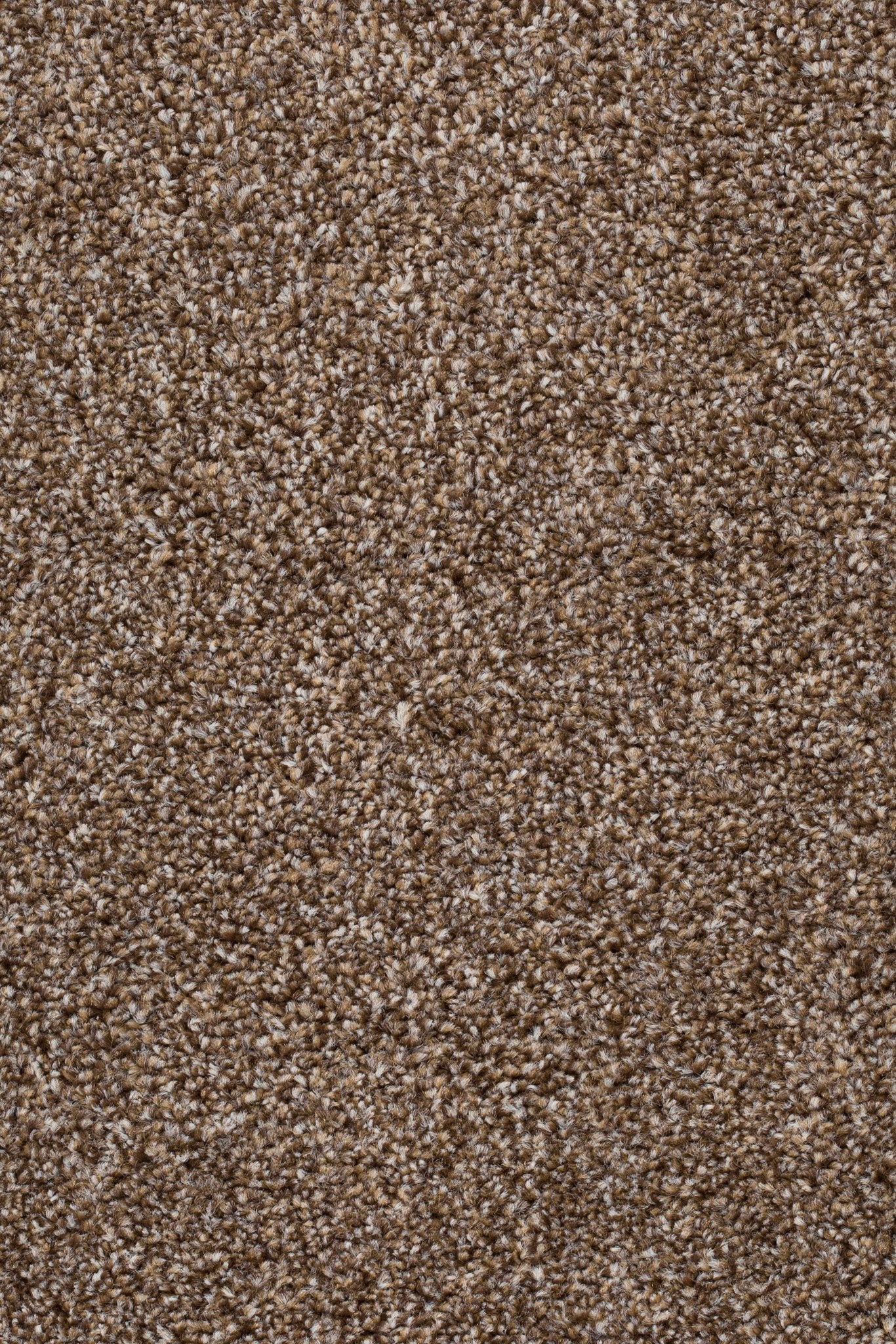 Afbeelding van Homeline 27 Tapijt Pilar 400cm Kleur 93