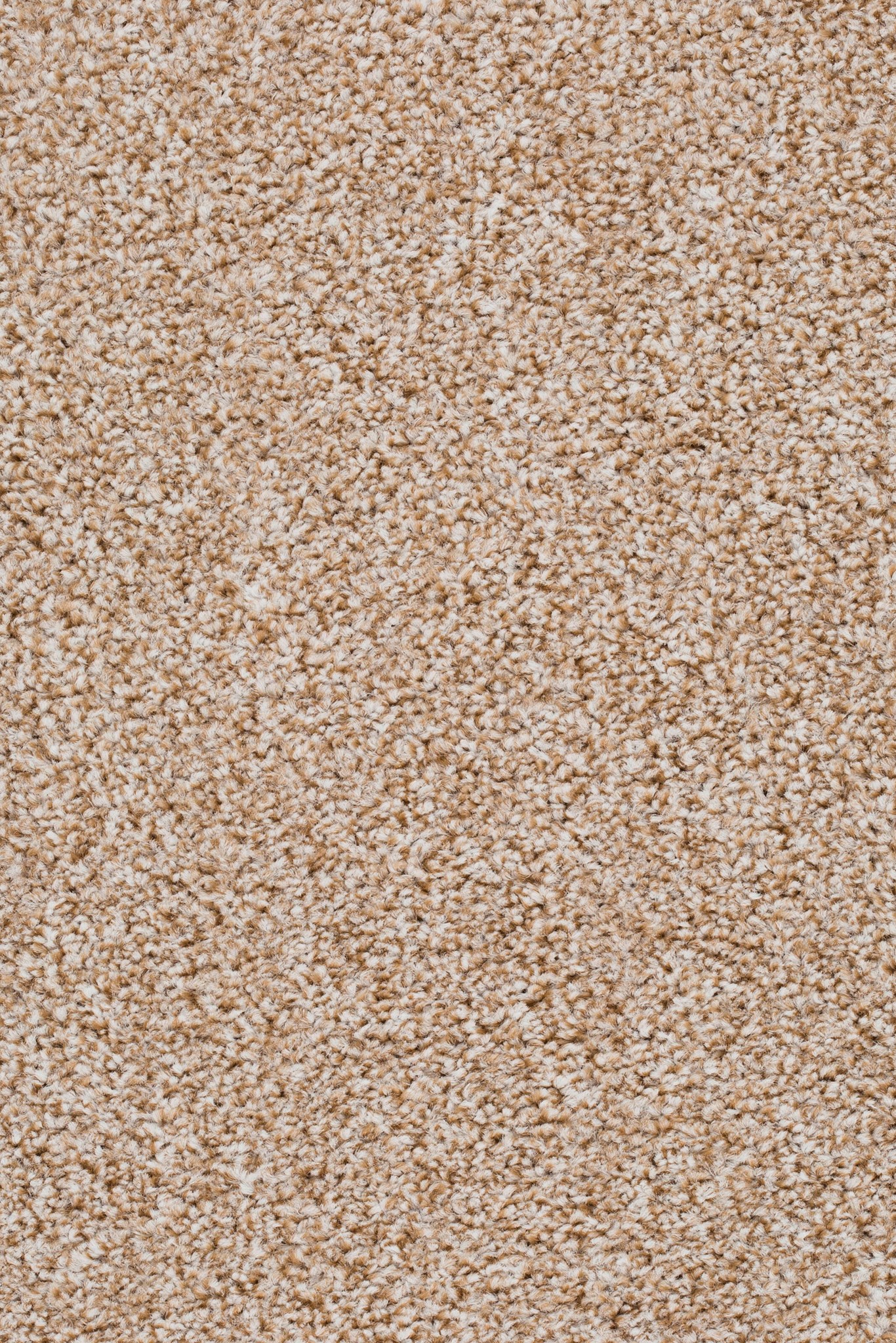 Afbeelding van Homeline 27 Tapijt Pilar 400cm Kleur 72