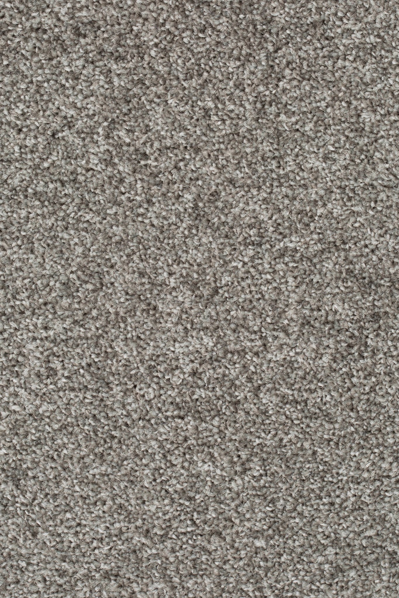 Afbeelding van Homeline 27 Tapijt Pilar 400cm Kleur 176