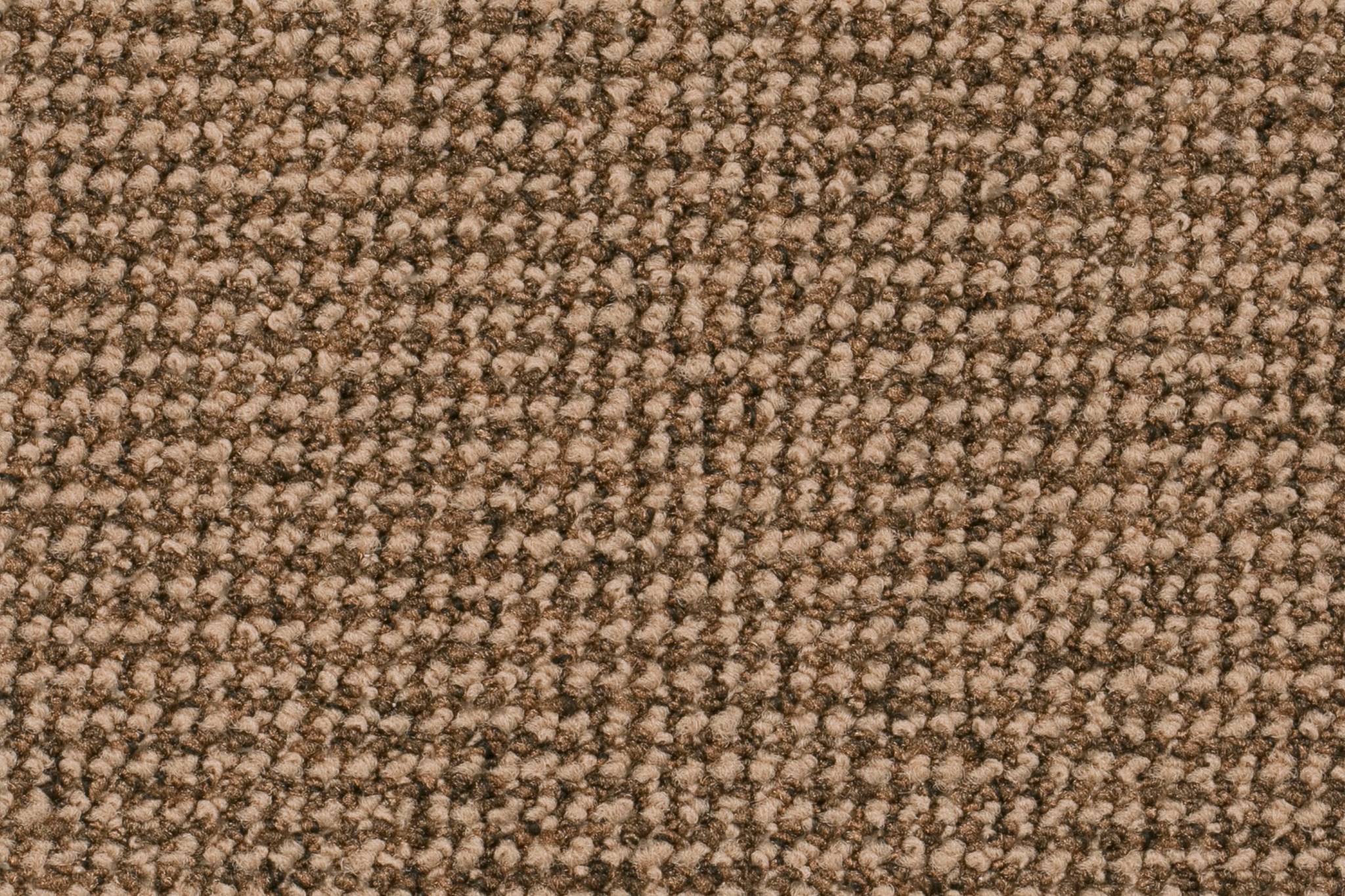 Afbeelding van Homeline 27 Tapijt Para 400 cm Kleur 64