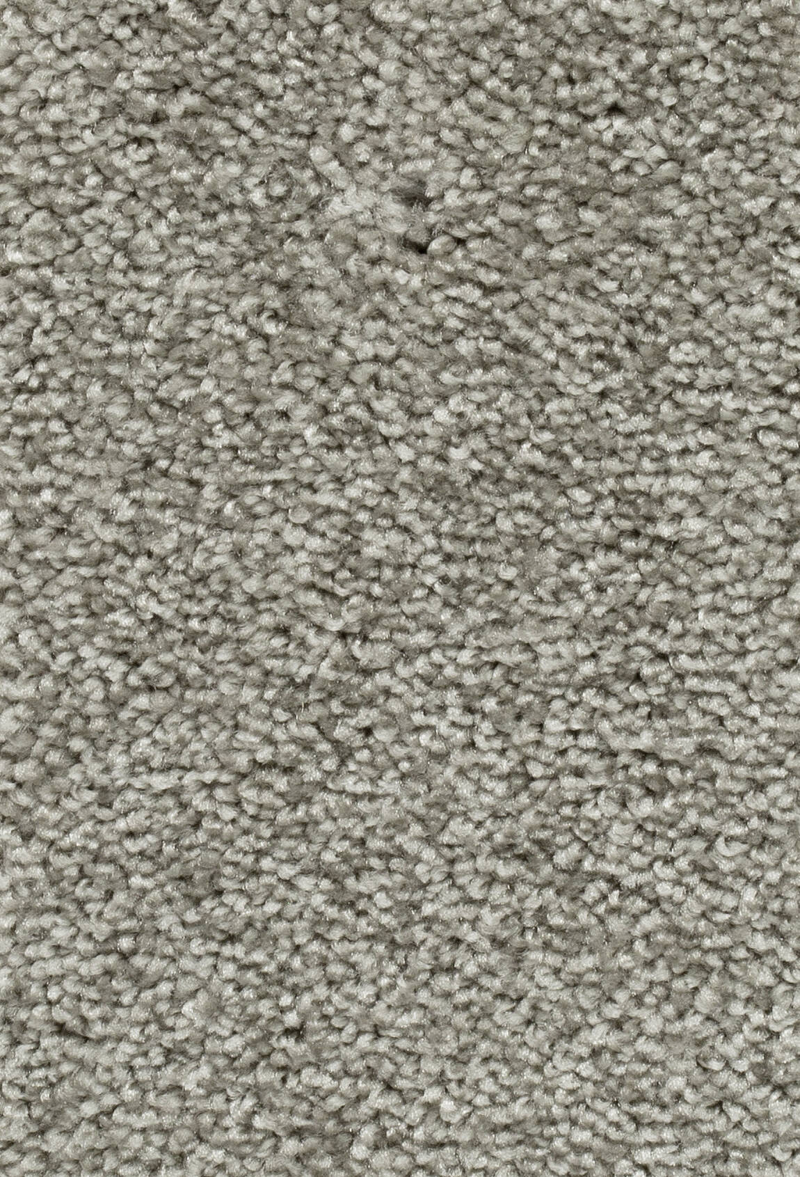Afbeelding van Homeline 27 Tapijt Palia 400 cm Kleur 68