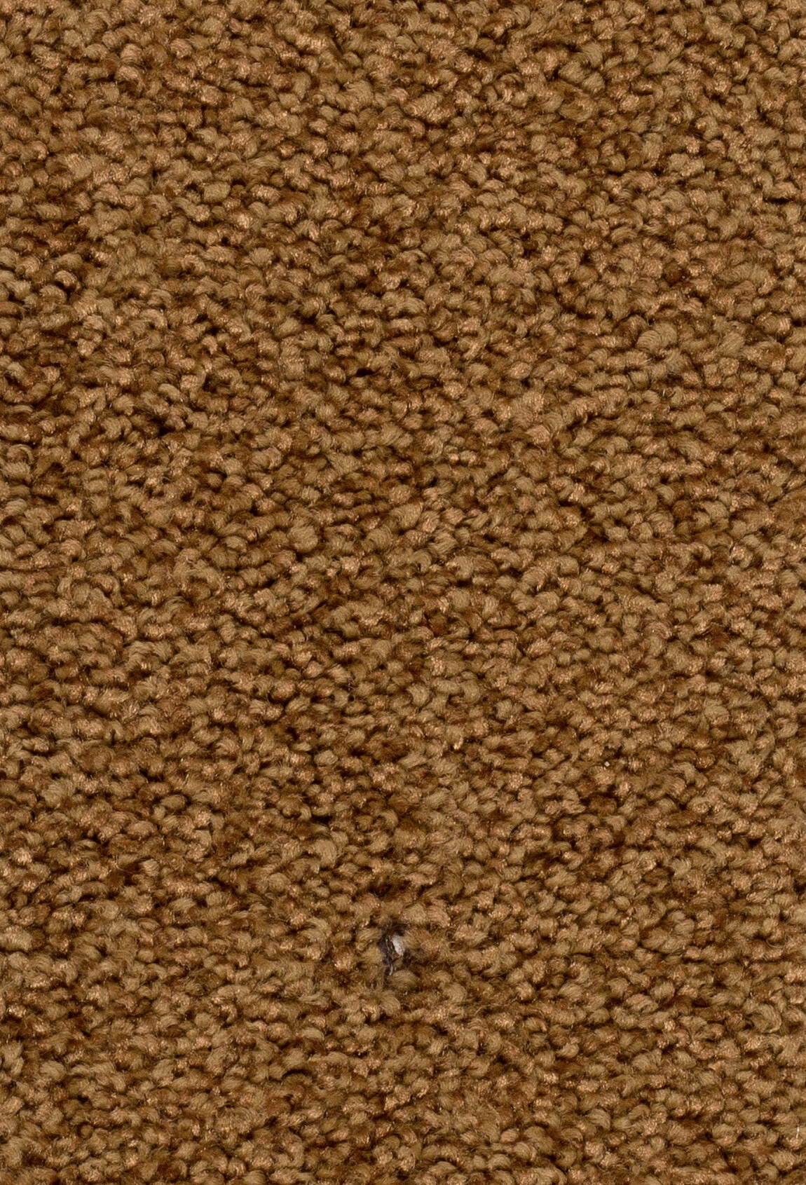 Afbeelding van Homeline 27 Tapijt Palia 400 cm Kleur 31