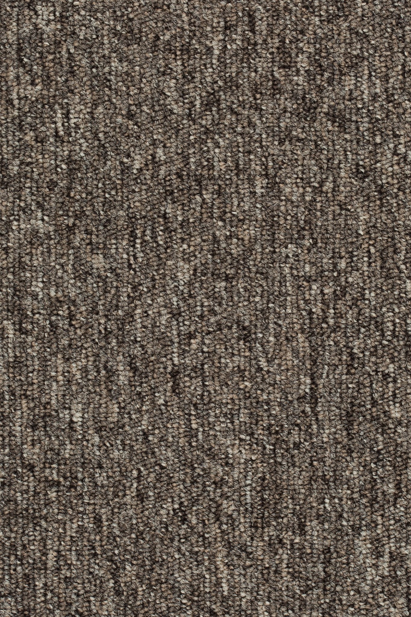 Afbeelding van Homeline 27 Tapijt Lori 400cm Kleur 40