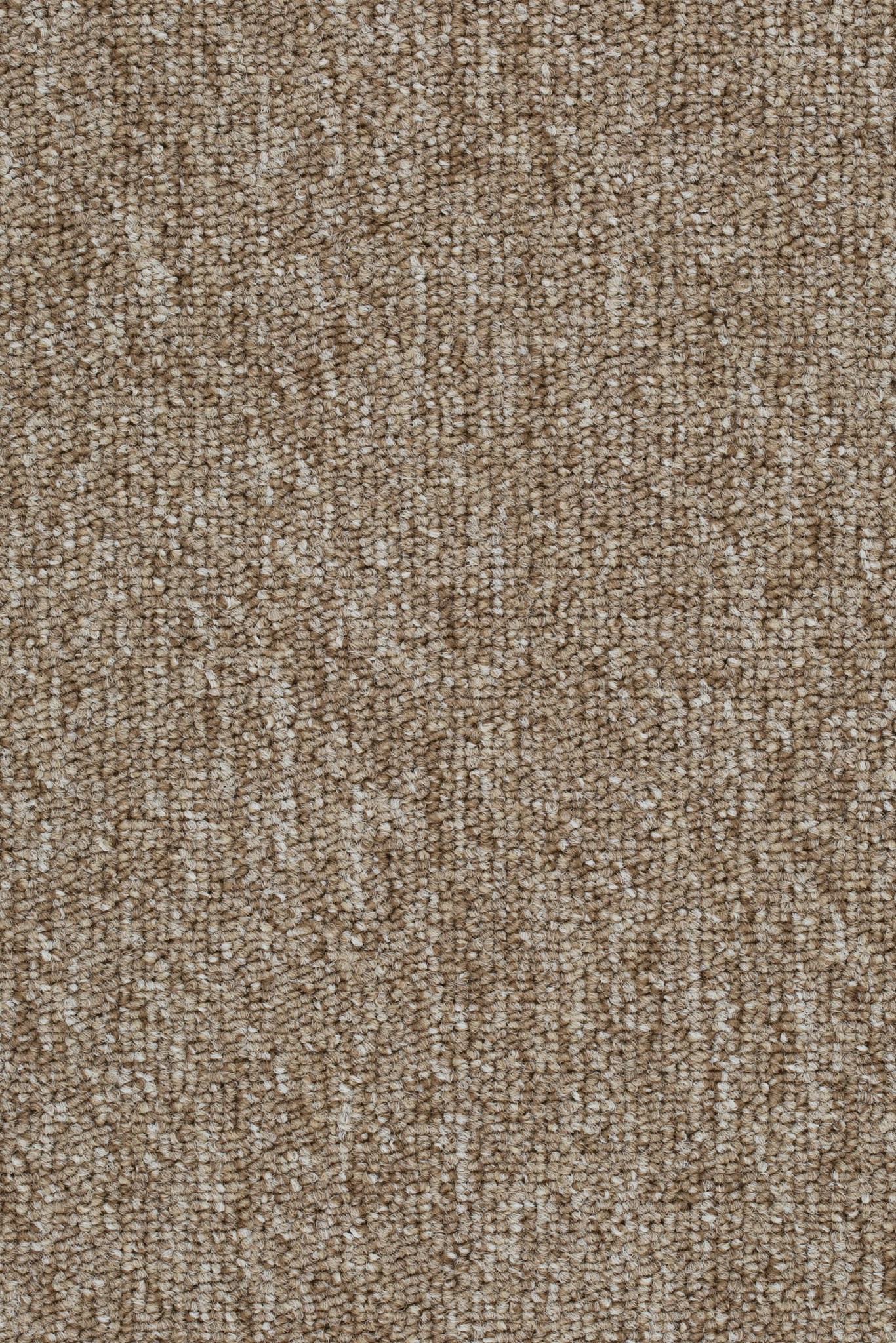 Afbeelding van Homeline 27 Tapijt Lori 400cm Kleur 33