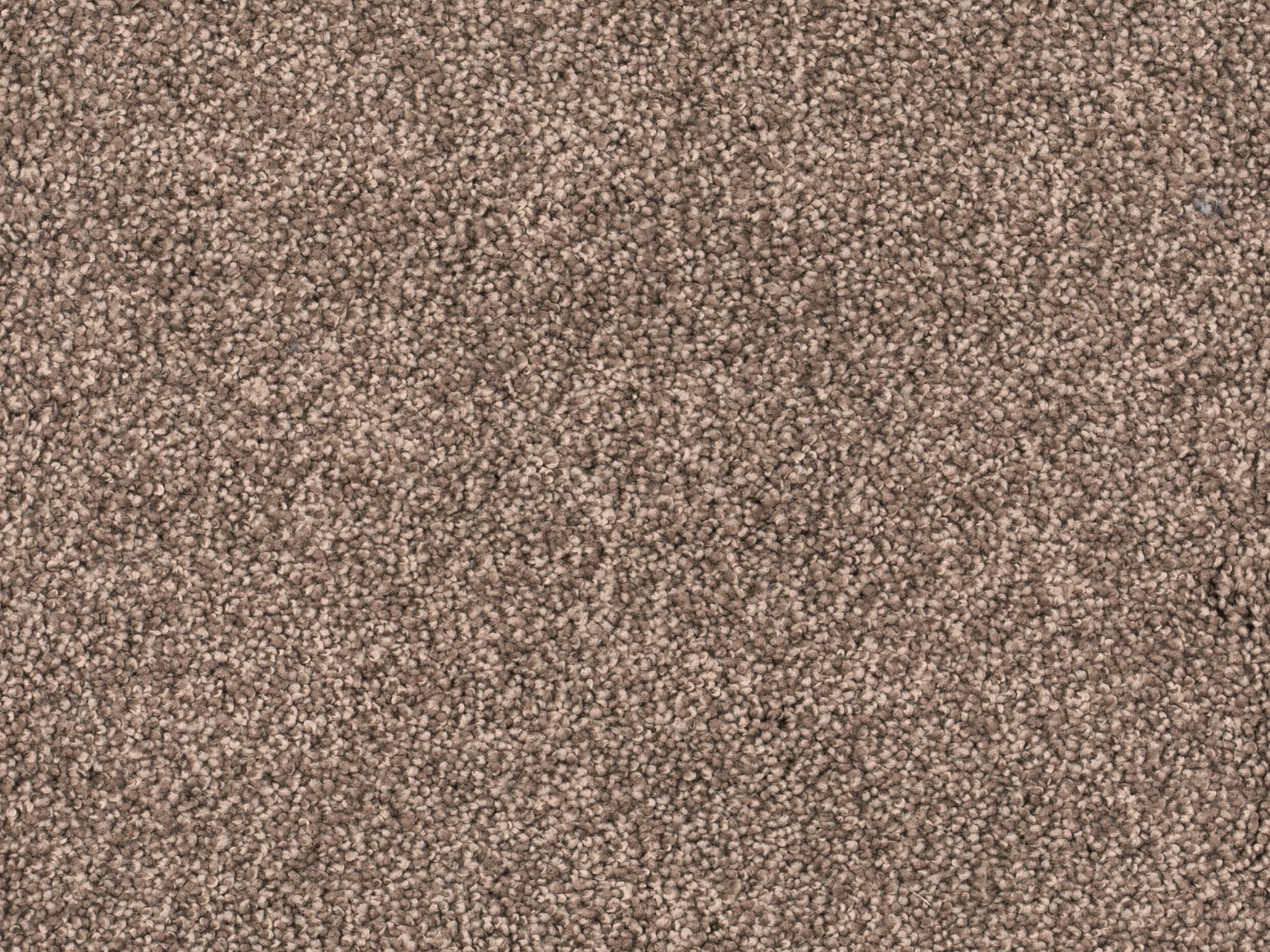 Afbeelding van Homeline 27 Tapijt Lord 400 cm Kleur 420