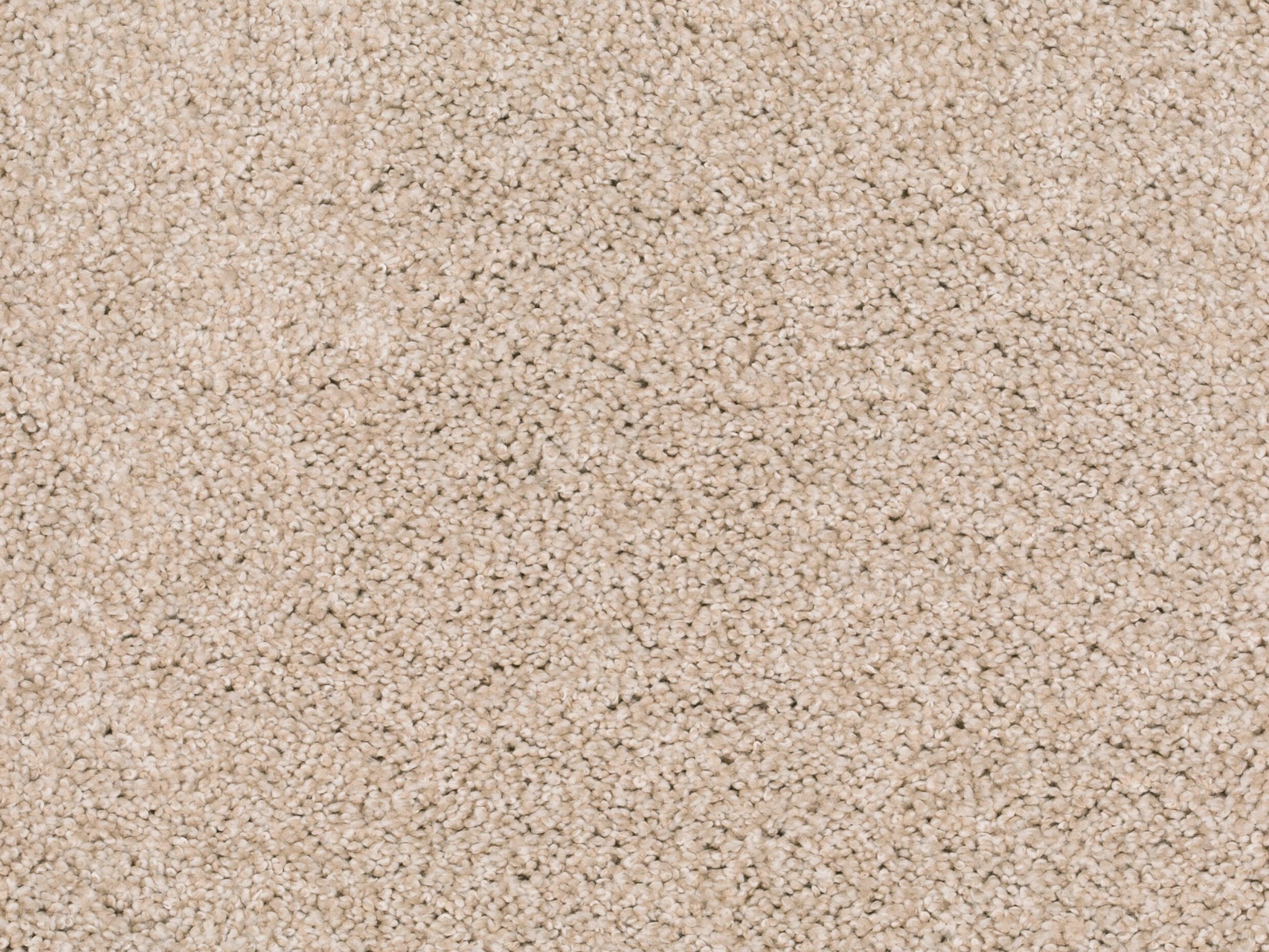 Afbeelding van Homeline 27 Tapijt Lord 400 cm Kleur 260