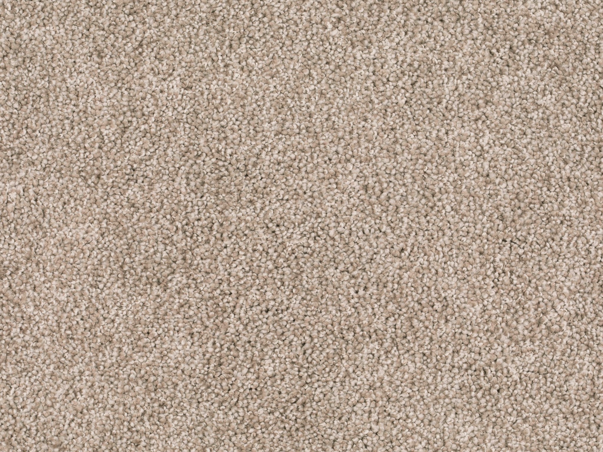 Afbeelding van Homeline 27 Tapijt Lord 400 cm Kleur 250