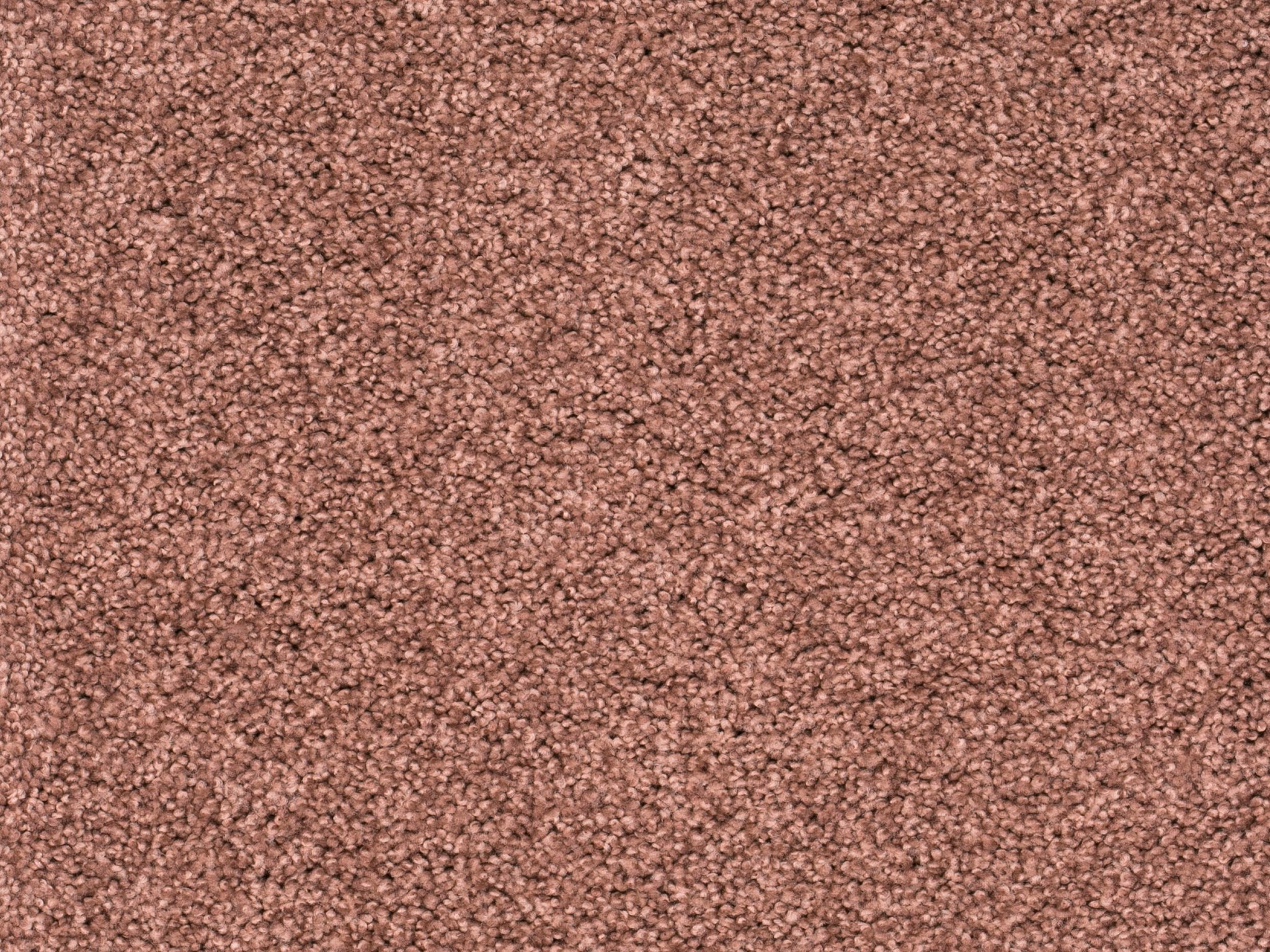 Afbeelding van Homeline 27 Tapijt Lord 400 cm Kleur 180