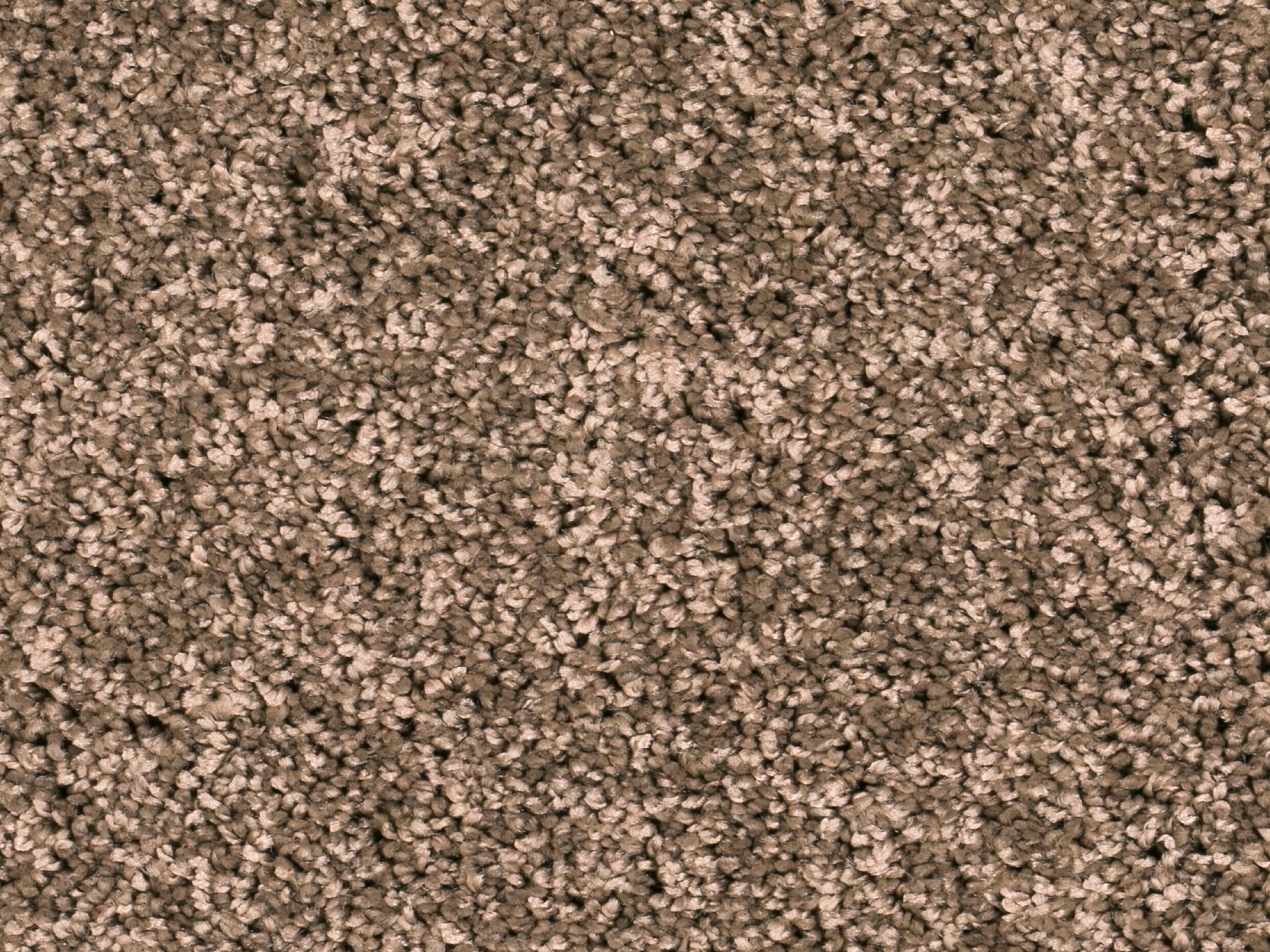 Afbeelding van Homeline 27 Tapijt Heres 400 cm Kleur 91