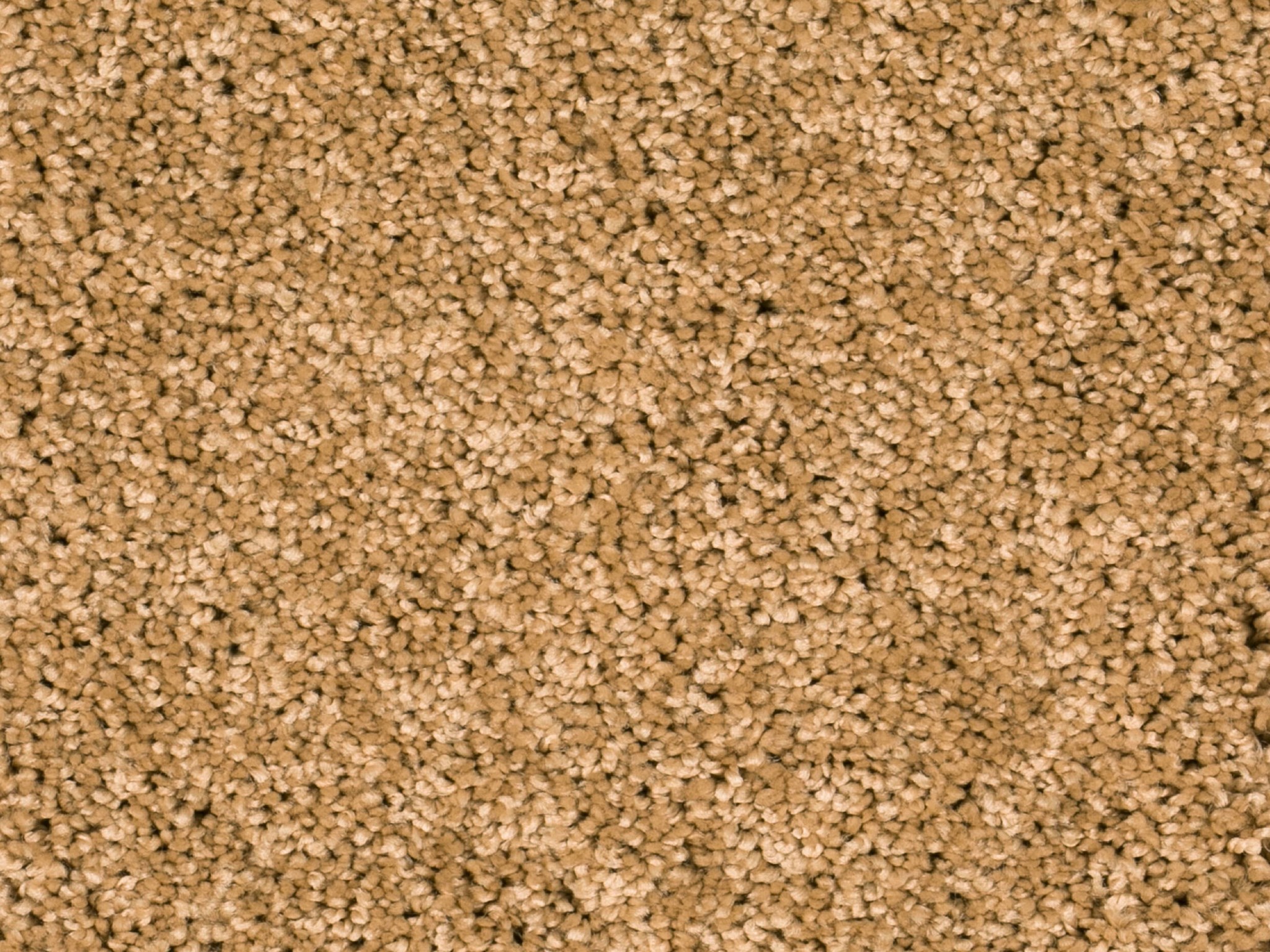 Afbeelding van Homeline 27 Tapijt Heres 400 cm Kleur 50