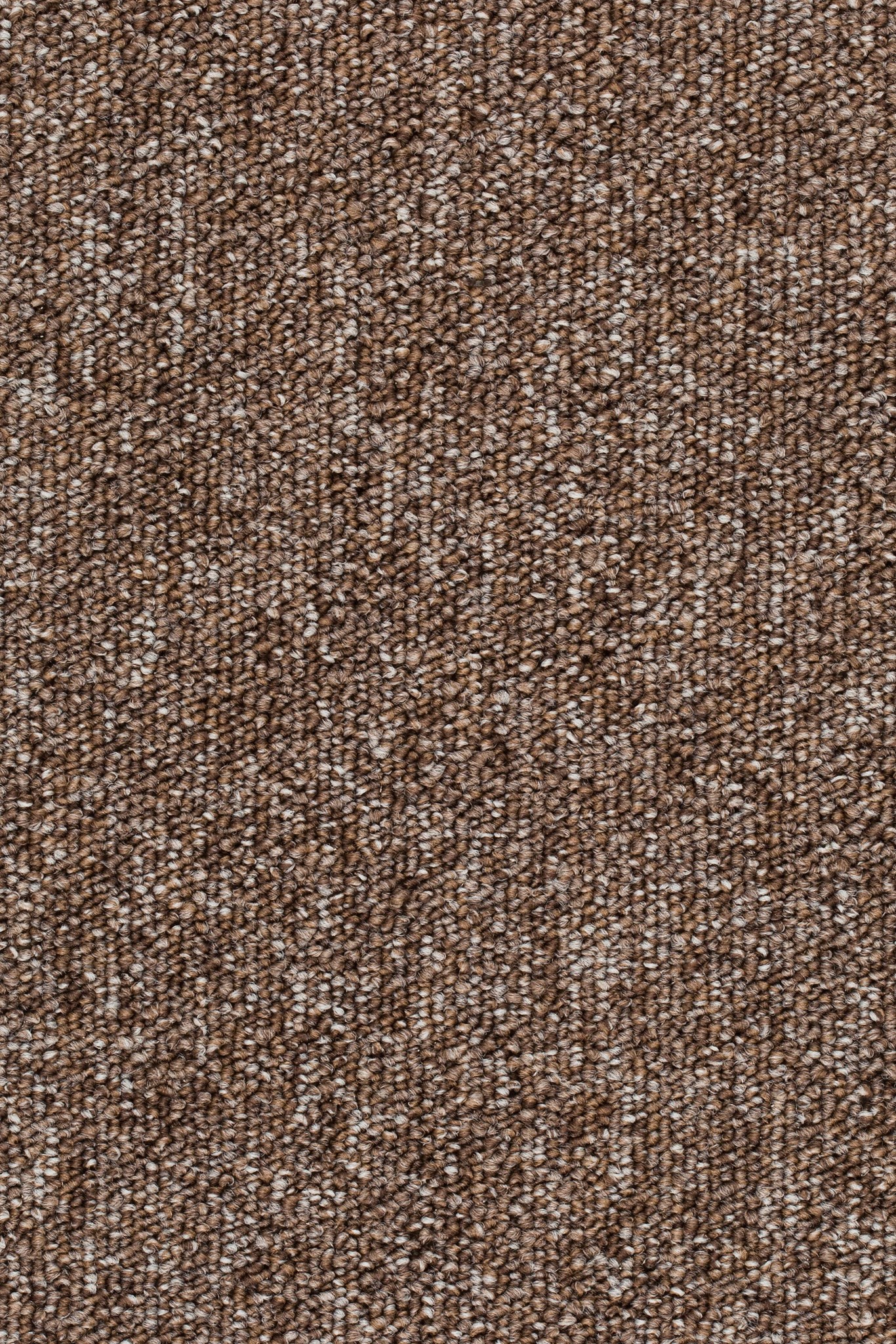 Afbeelding van Homeline 27 Tapijt Evita 400cm Kleur 90