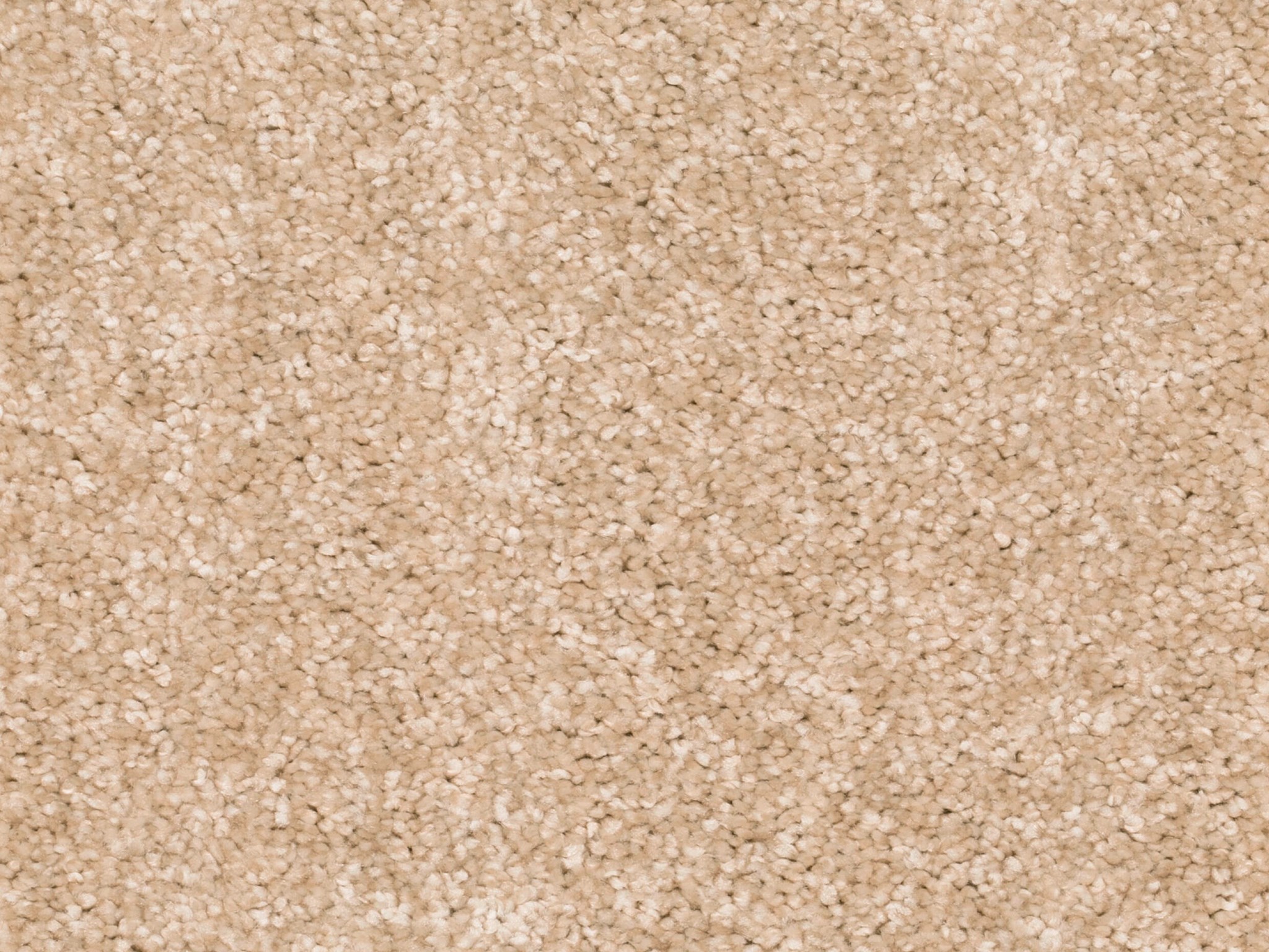 Afbeelding van Homeline 27 Tapijt Ares 400 cm Kleur 33