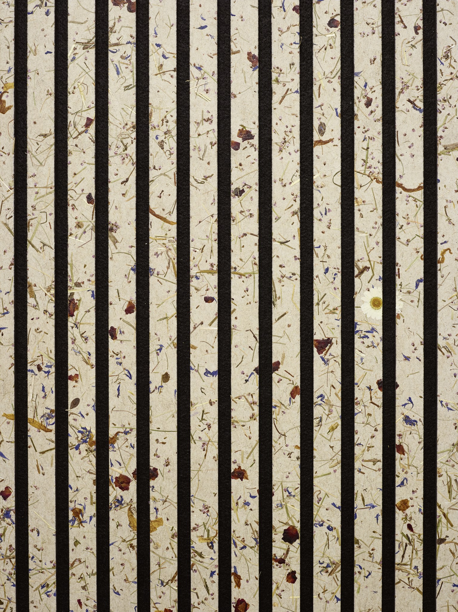 Afbeelding van JOKA PARO Akustik PAO3023 Alpenweide light 2790x600mm zwart vlies| Pak à 3,35m²