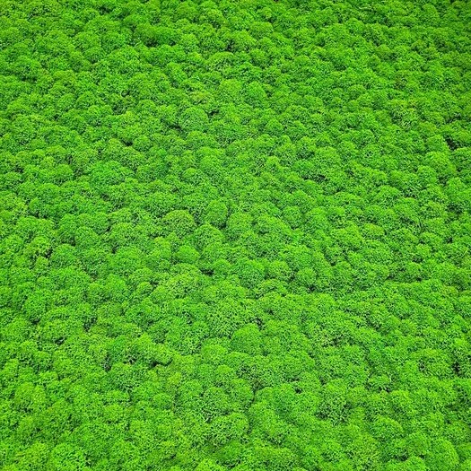 Afbeelding van JOKA PARO Akustik PAM001 600x600 Tegel Appelgroen | Pak à 0,36m²