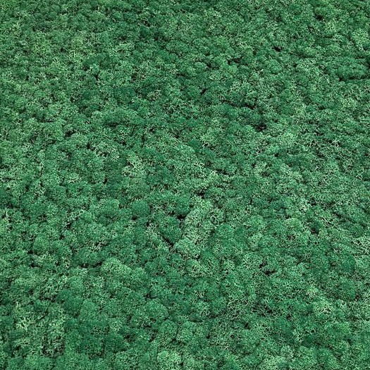 Afbeelding van JOKA PARO Akustik PAM002 600x600 Tegel Mosgroen | Pak à 0,36m²