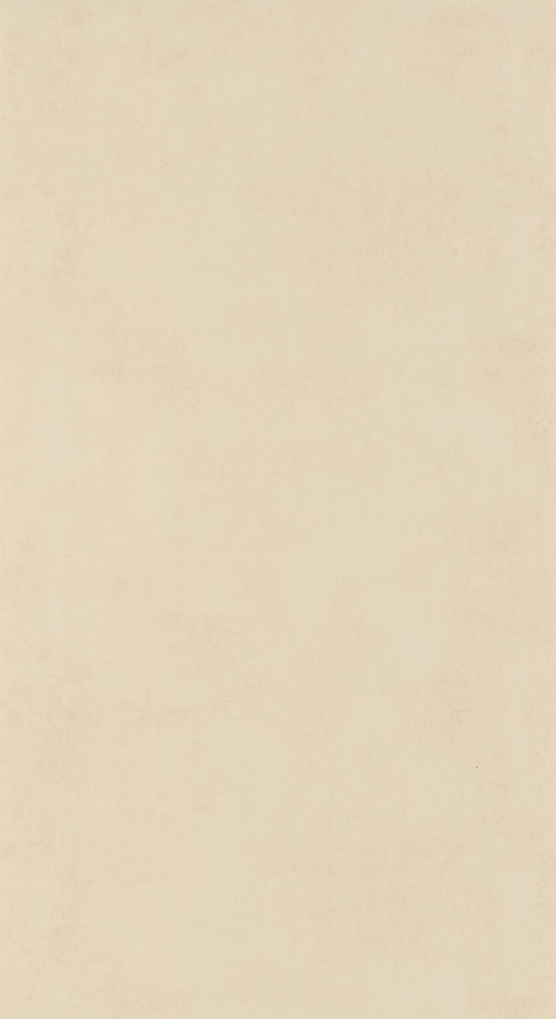 Afbeelding van Behang 20704 Color III 2025 10,05 x 0,53 mtr