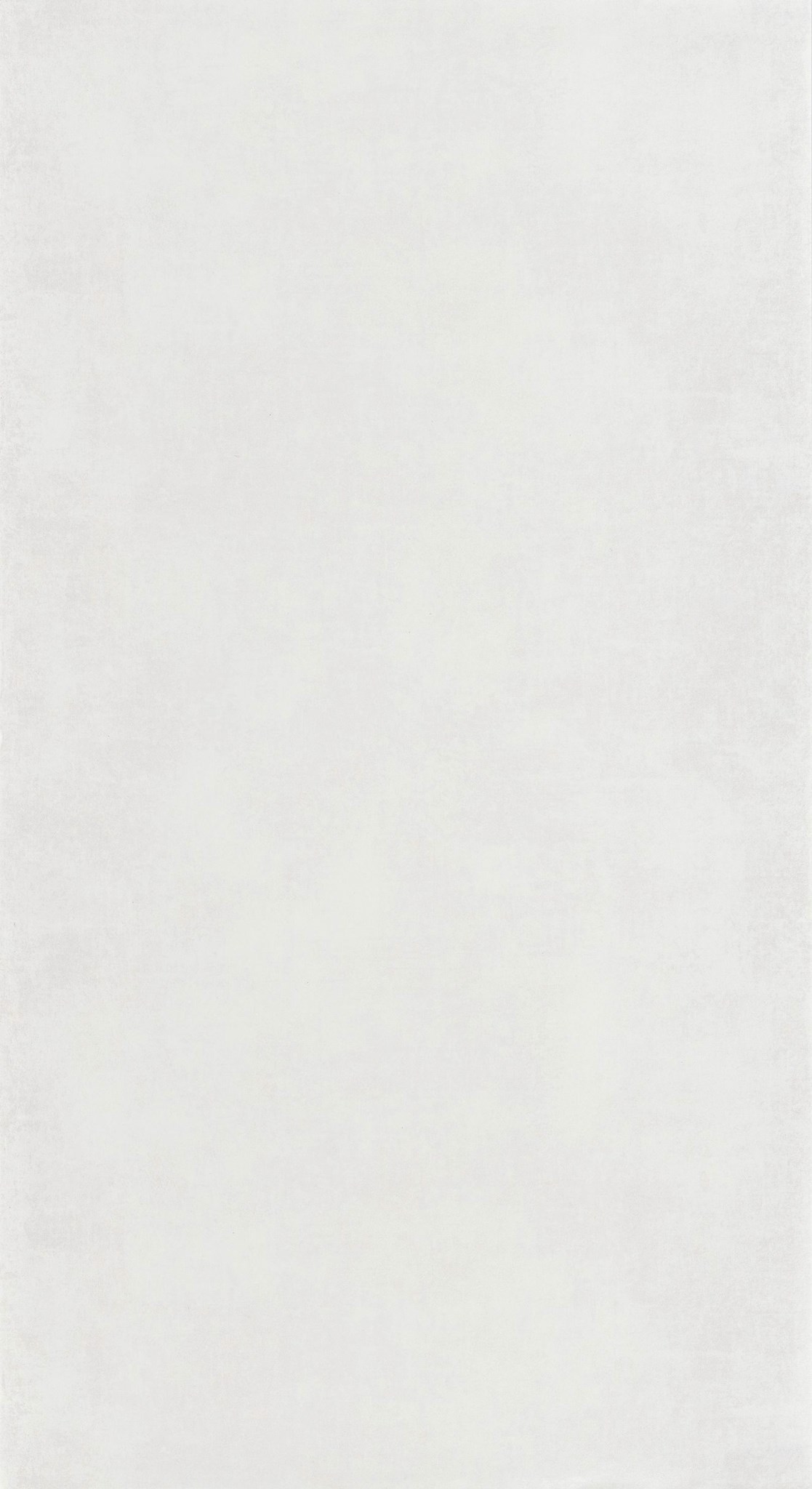 Afbeelding van Behang 20740 Color III 2025 10,05 x 0,53 mtr