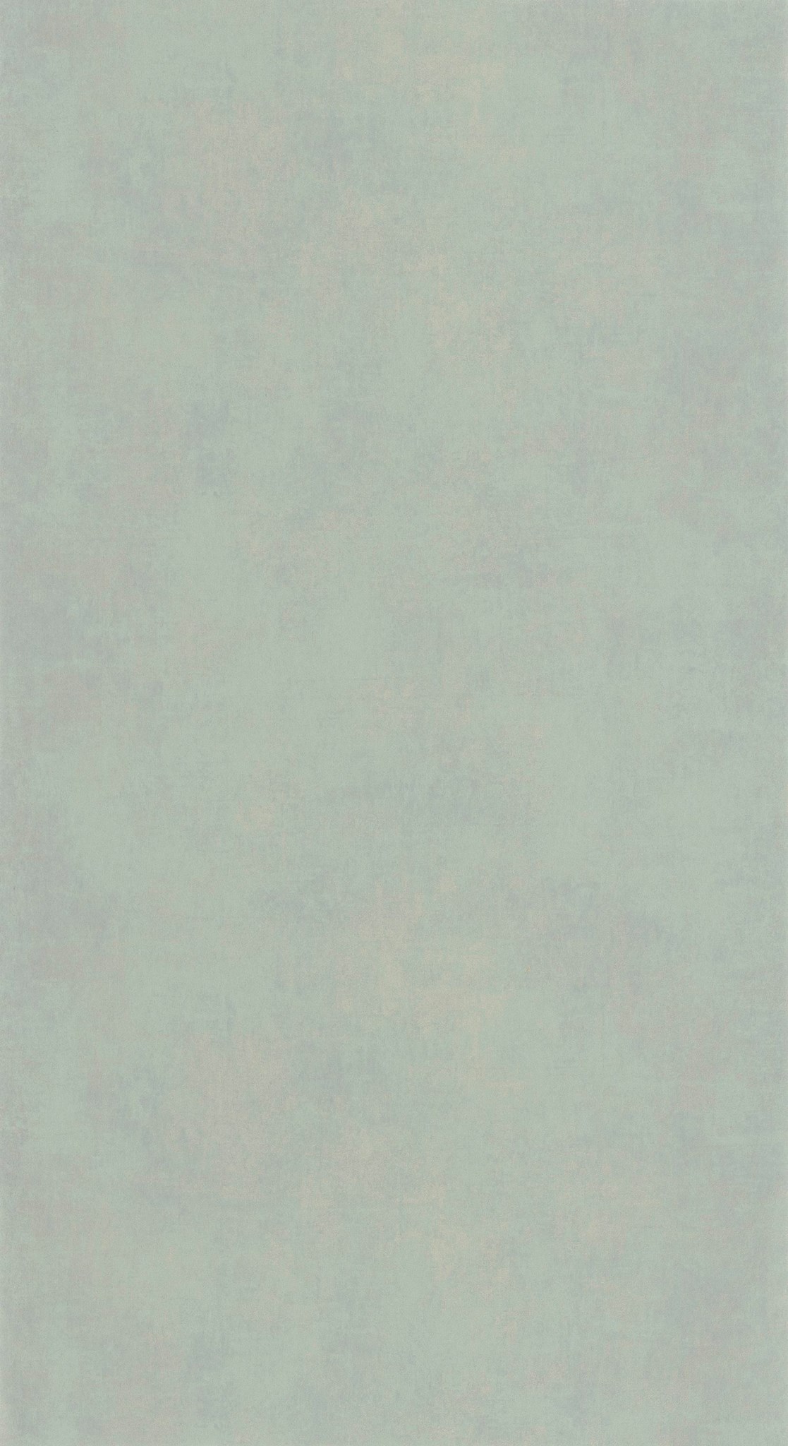 Afbeelding van Behang 20748 Color III 2025 10,05 x 0,53 mtr