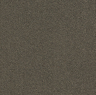 Afbeelding van Quattro 028 Tapijttegel HEUGA 725 Kleur 2042 50x50cm Pak à 4m2