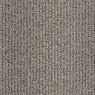 Afbeelding van Quattro 028 Tapijttegel Elavation III Kleur 9001 50x50cm Pak à 5m2