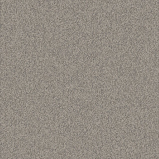 Afbeelding van Quattro 028 Tapijttegel Elavation III Kleur 9013 50x50cm Pak à 5m2