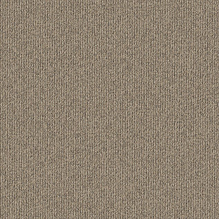 Afbeelding van Quattro 028 Tapijttegel Elavation III Kleur 9014 50x50cm Pak à 5m2
