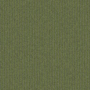 Afbeelding van Quattro 028 Tapijttegel Elavation III Kleur 9017 50x50cm Pak à 5m2