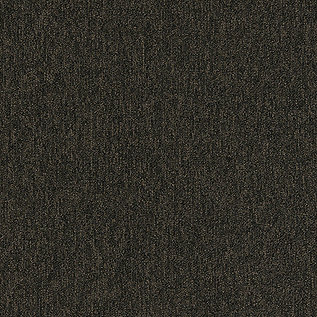 Afbeelding van Quattro 028 Tapijttegel OUTPUT LOOP Kleur 9004 50x50cm Pak à 5m2