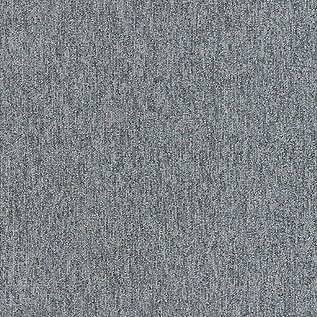 Afbeelding van Quattro 028 Tapijttegel OUTPUT LOOP Kleur 9005 50x50cm Pak à 5m2