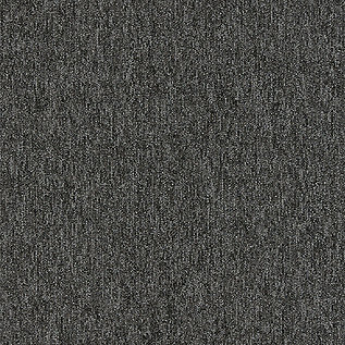 Afbeelding van Quattro 028 Tapijttegel OUTPUT LOOP Kleur 9007 50x50cm Pak à 5m2