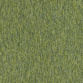 Afbeelding van Quattro 028 Tapijttegel OUTPUT LOOP Kleur 9013 50x50cm Pak à 5m2
