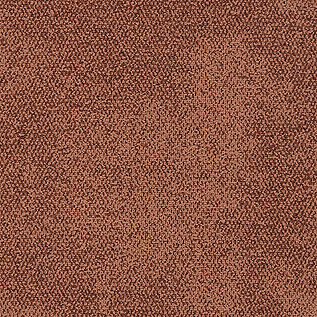 Afbeelding van Quattro 028 Tapijttegel Recreation Kleur 3016 50x50cm Pak à 4m2
