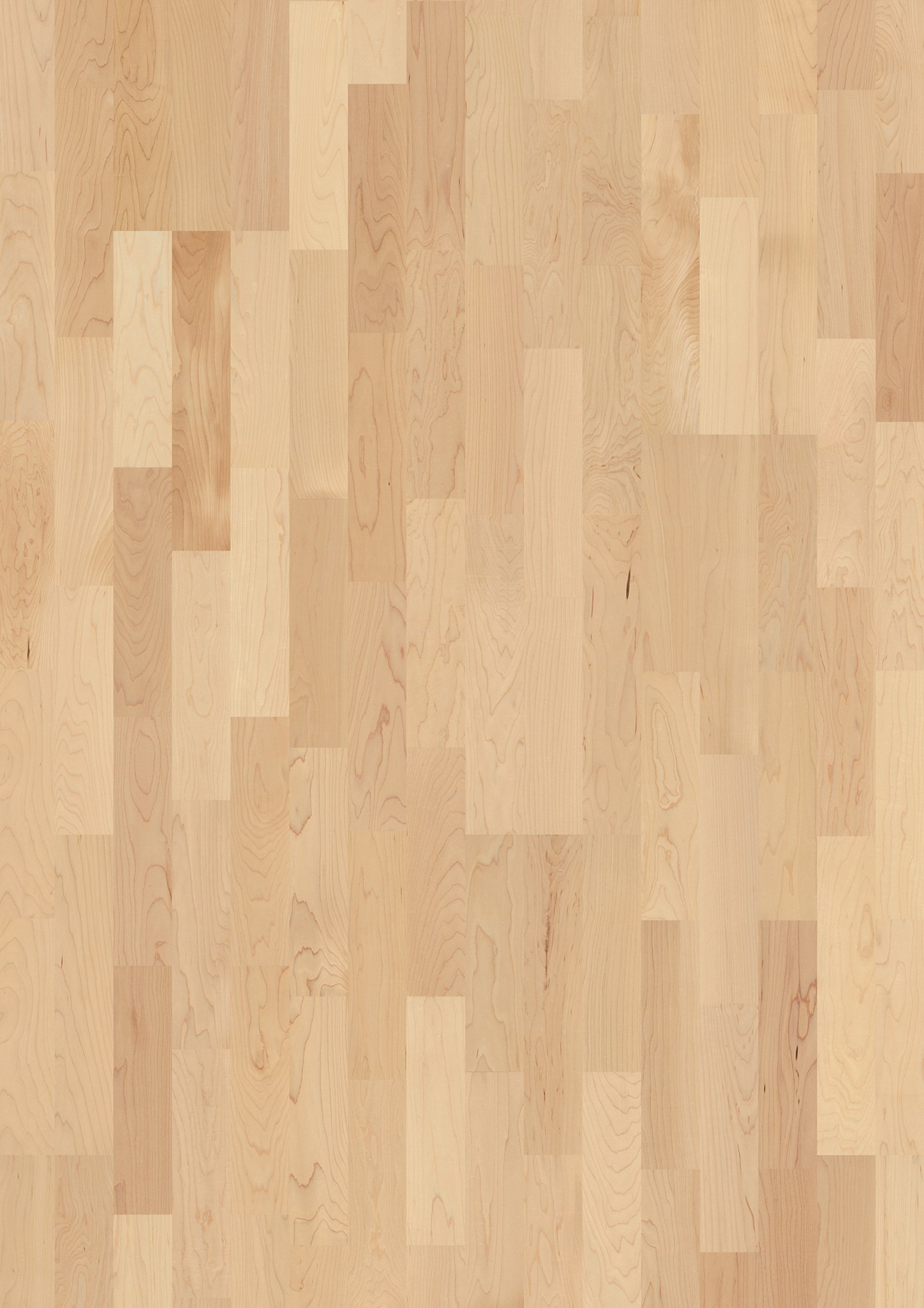 Afbeelding van JOKA KINGSTON 535 SB A1801 NATURE Ahorn canad. Lak  2200x215x14mm 2,84m²
