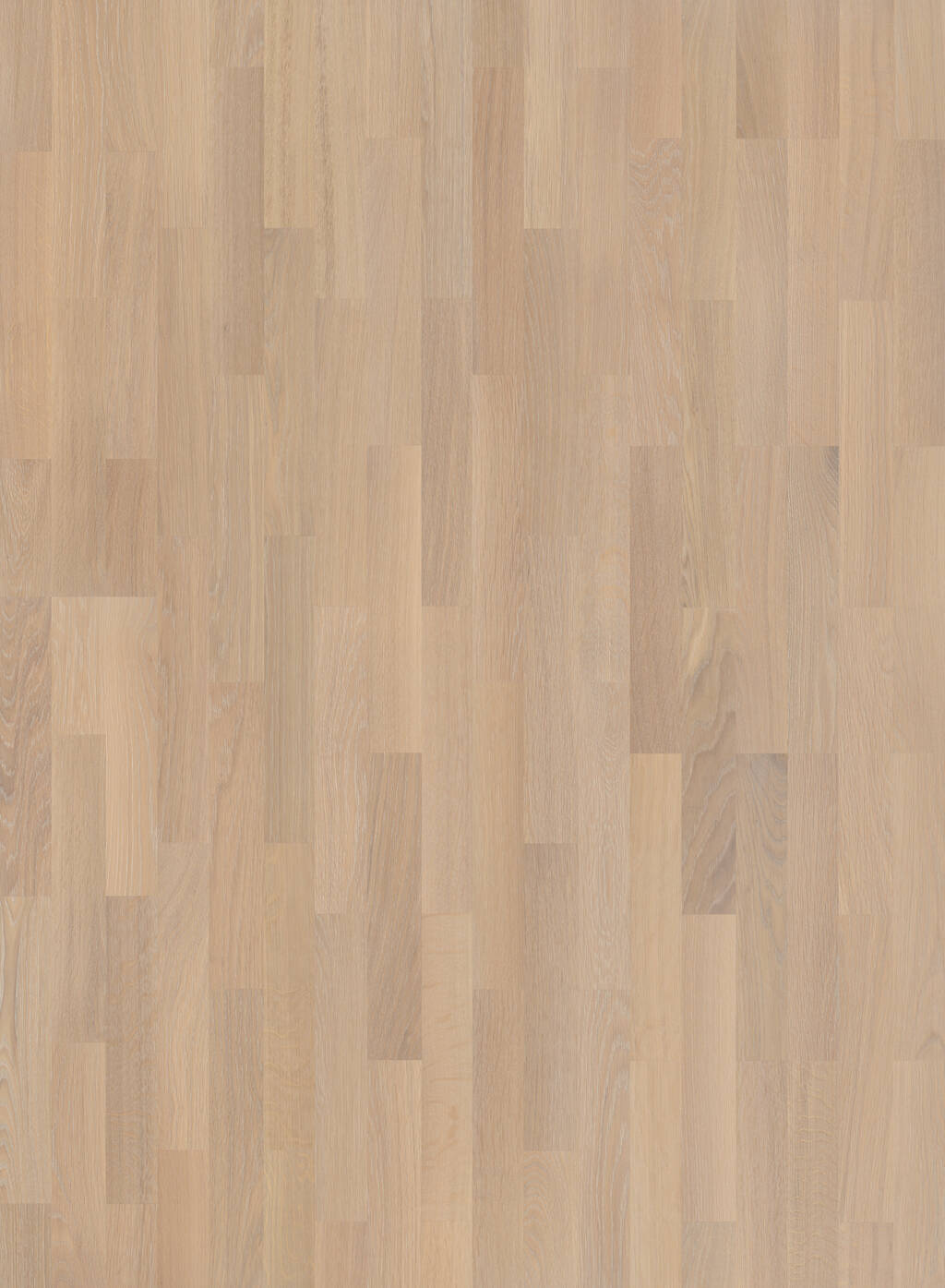 Afbeelding van JOKA KINGSTON 435 SB E2857 ELEGANCE Eiken Licht geb. Lak  2200x208x13mm 2,746m²