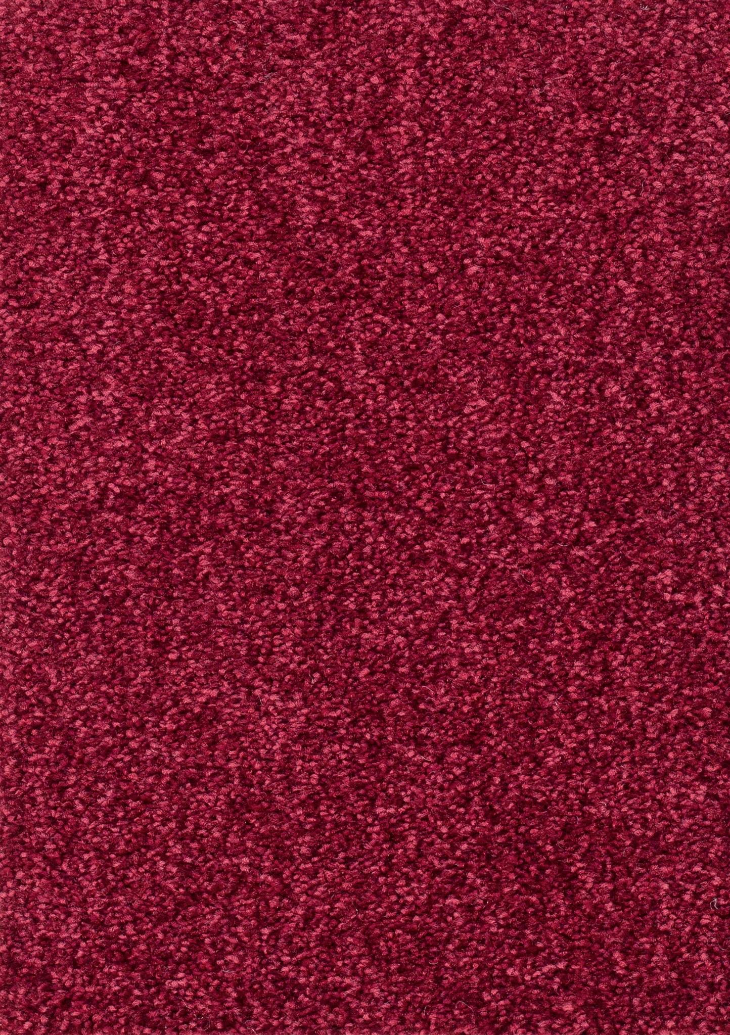Afbeelding van Homeline 26 Tapijt Vegas 500cm Kleur 15