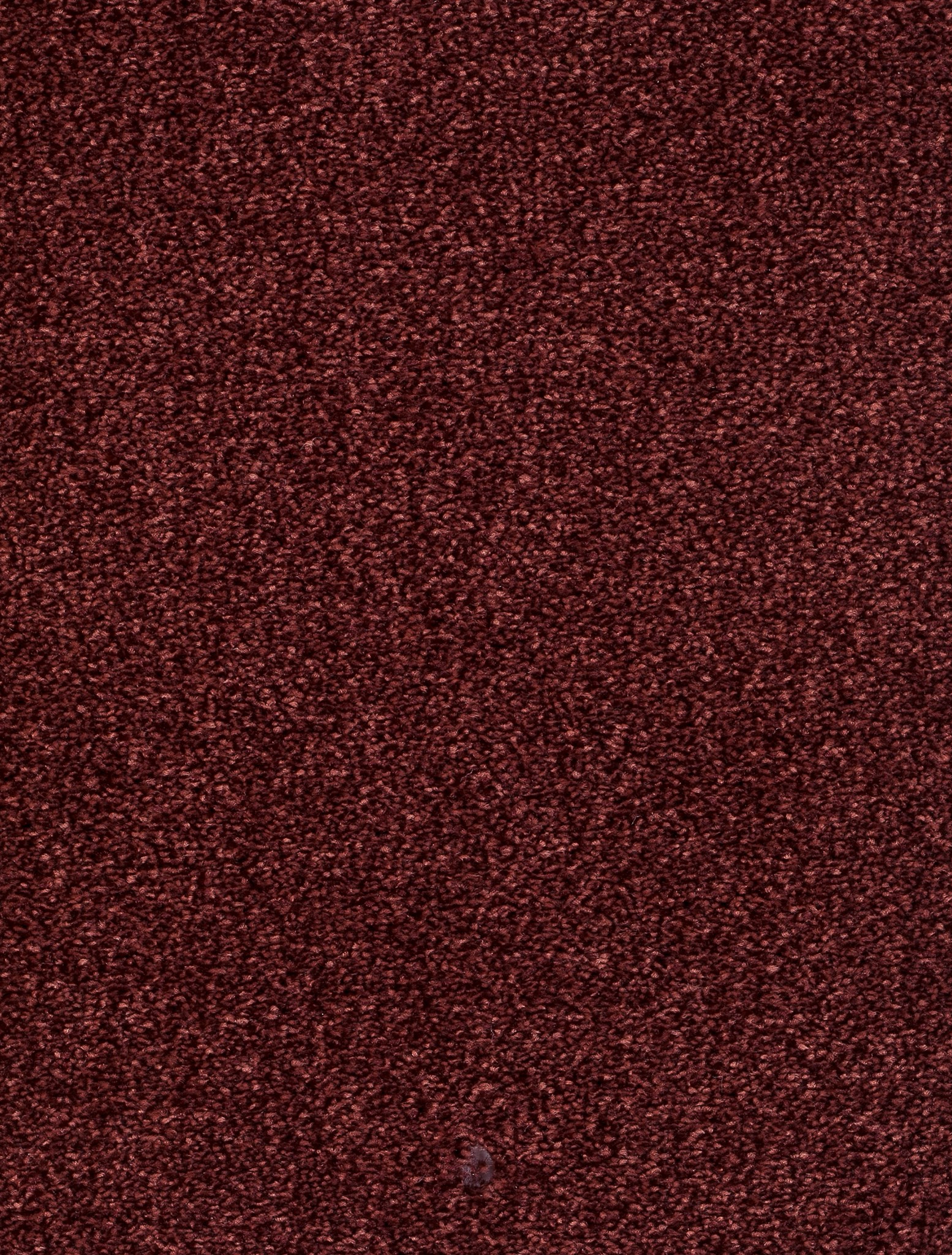 Afbeelding van Homeline 26 Tapijt Vegas 400cm Kleur 66